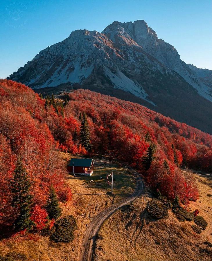 Mountain House Komovi-Radunovic Andrijevica Exteriör bild