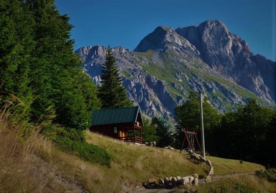Mountain House Komovi-Radunovic Andrijevica Exteriör bild